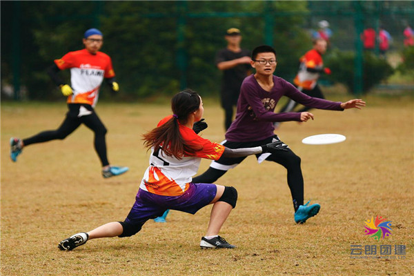 milan.com-包含国际飞盘嘉年华，空中投掷的艺术魅力的词条