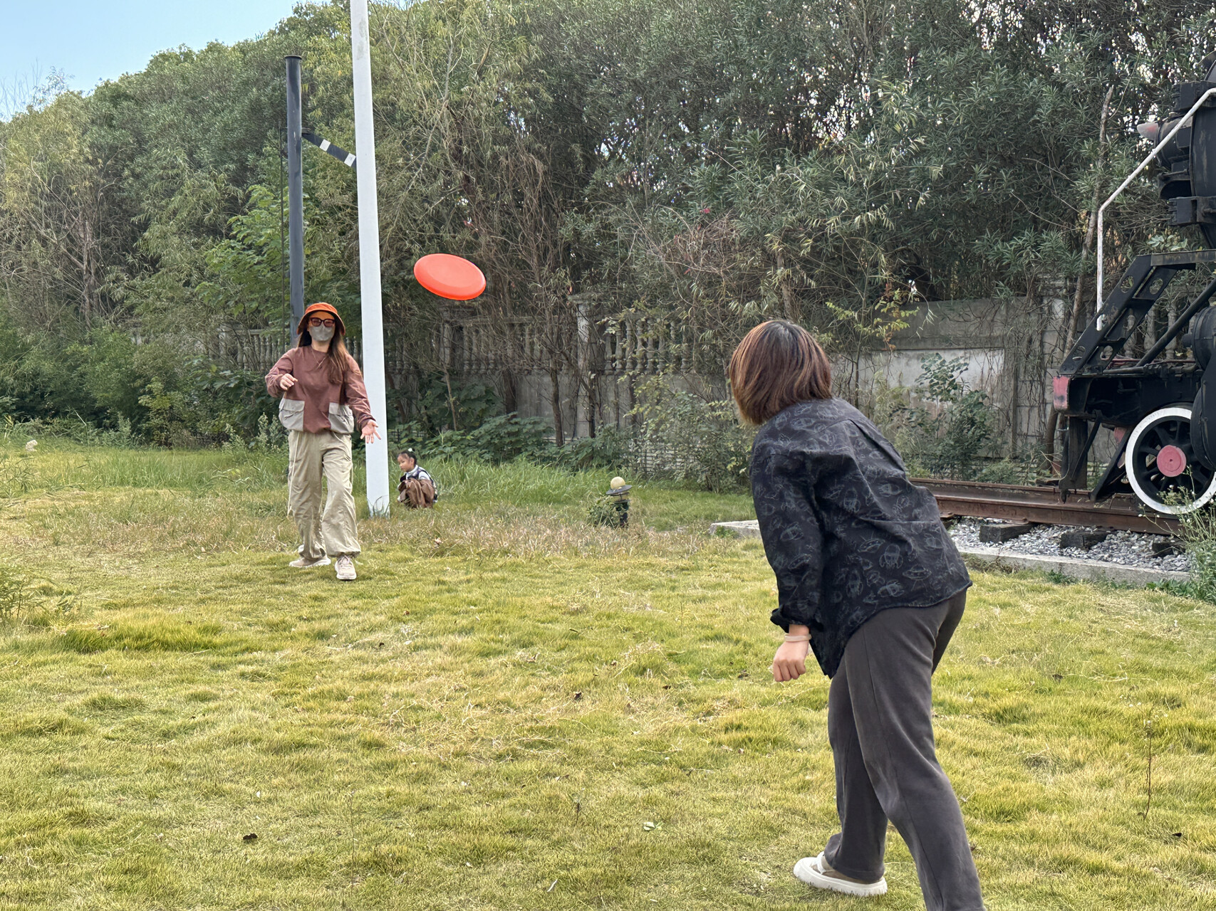 包含国际飞盘嘉年华，空中投掷的艺术魅力的词条