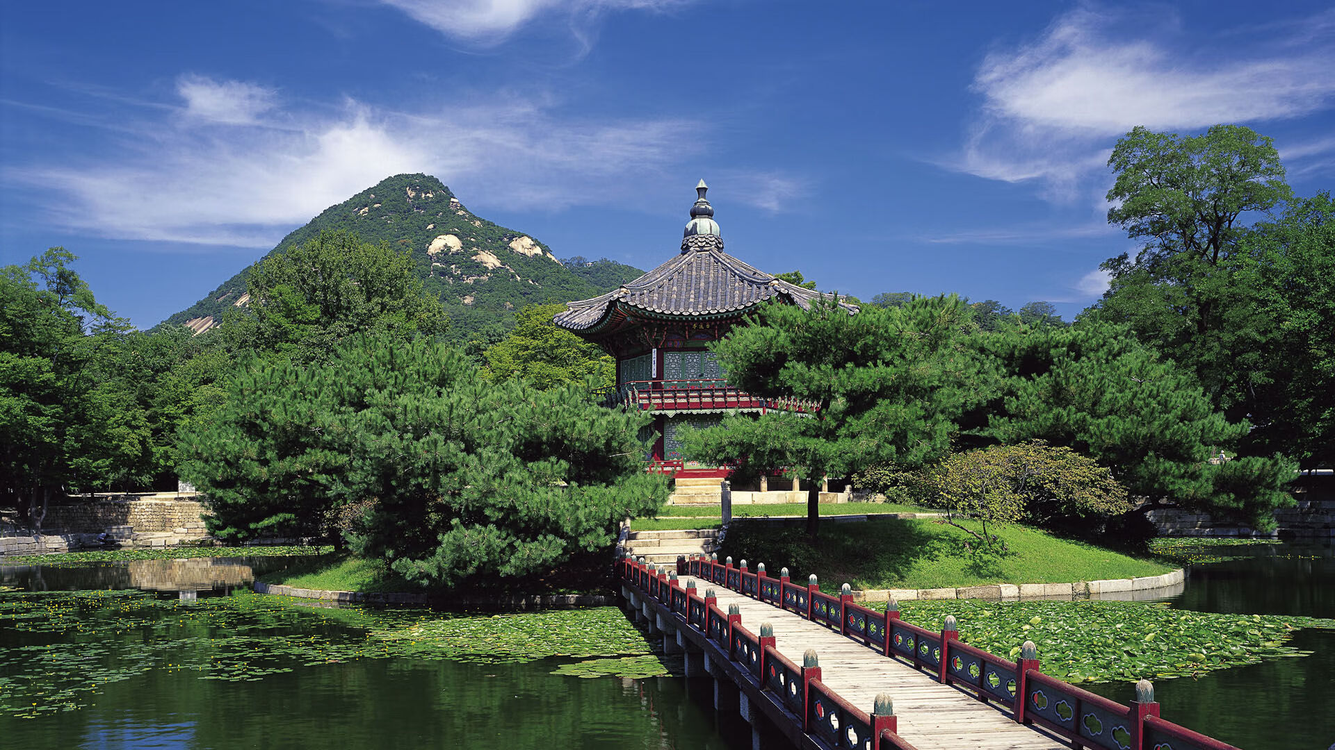 多特蒙德主场1-1战平沃尔夫斯堡,错失三分,多特蒙德对沃尔夫斯堡比赛结果