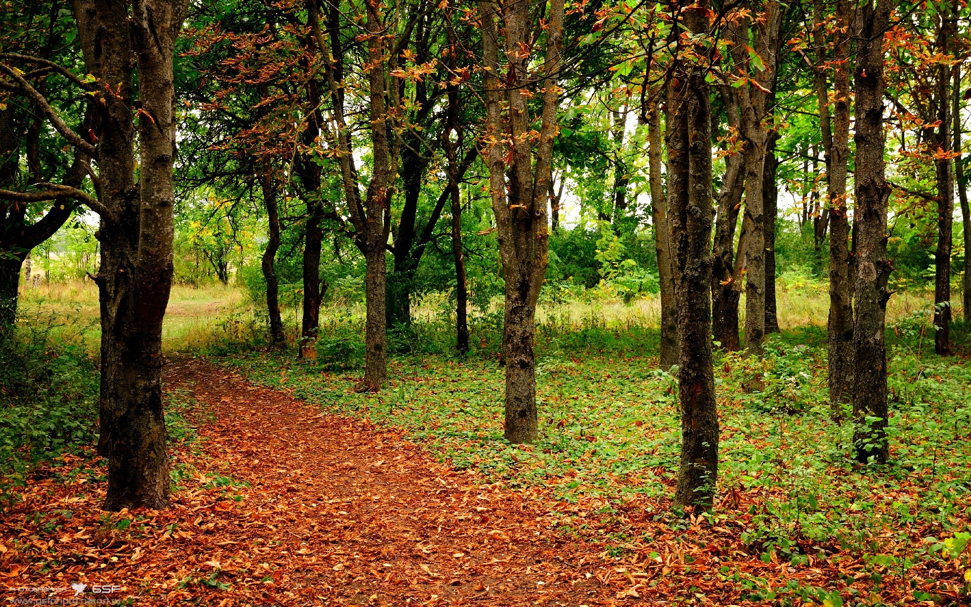 尤文图斯球员拉斐尔表现出色斩获进球,尤文图斯vsla拉齐奥直播