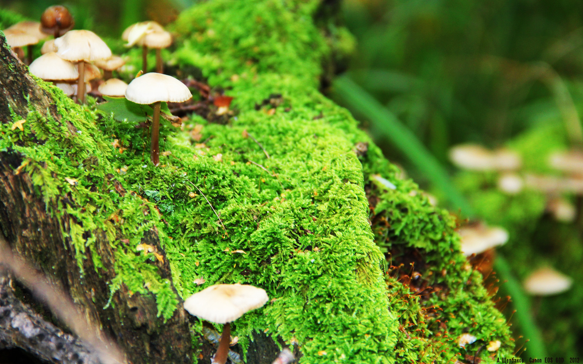 米兰体育官方入口-火箭队惊险逆转取胜，哈登状态回暖，火箭队哈登视频