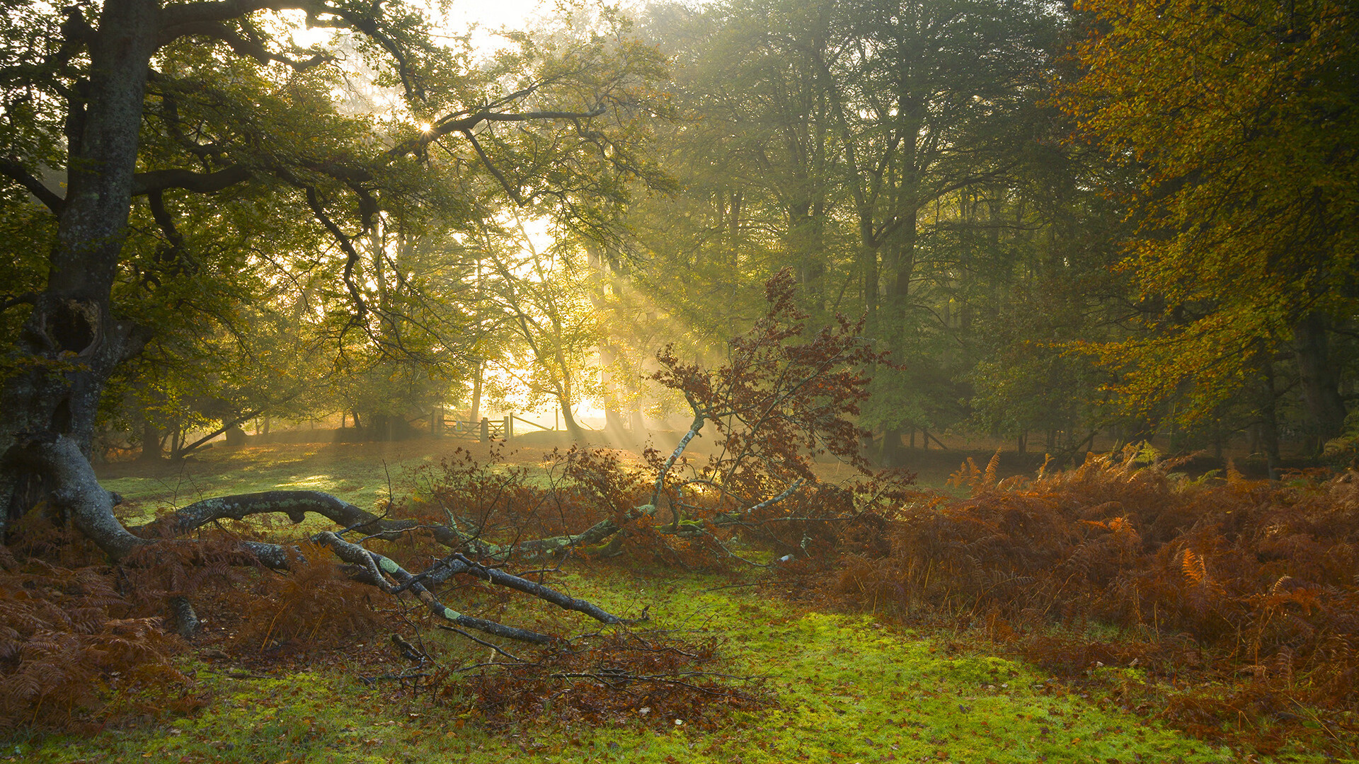 博卡攻守转换节奏偏慢,被拜仁反击多次打穿,博卡俱乐部著名球星