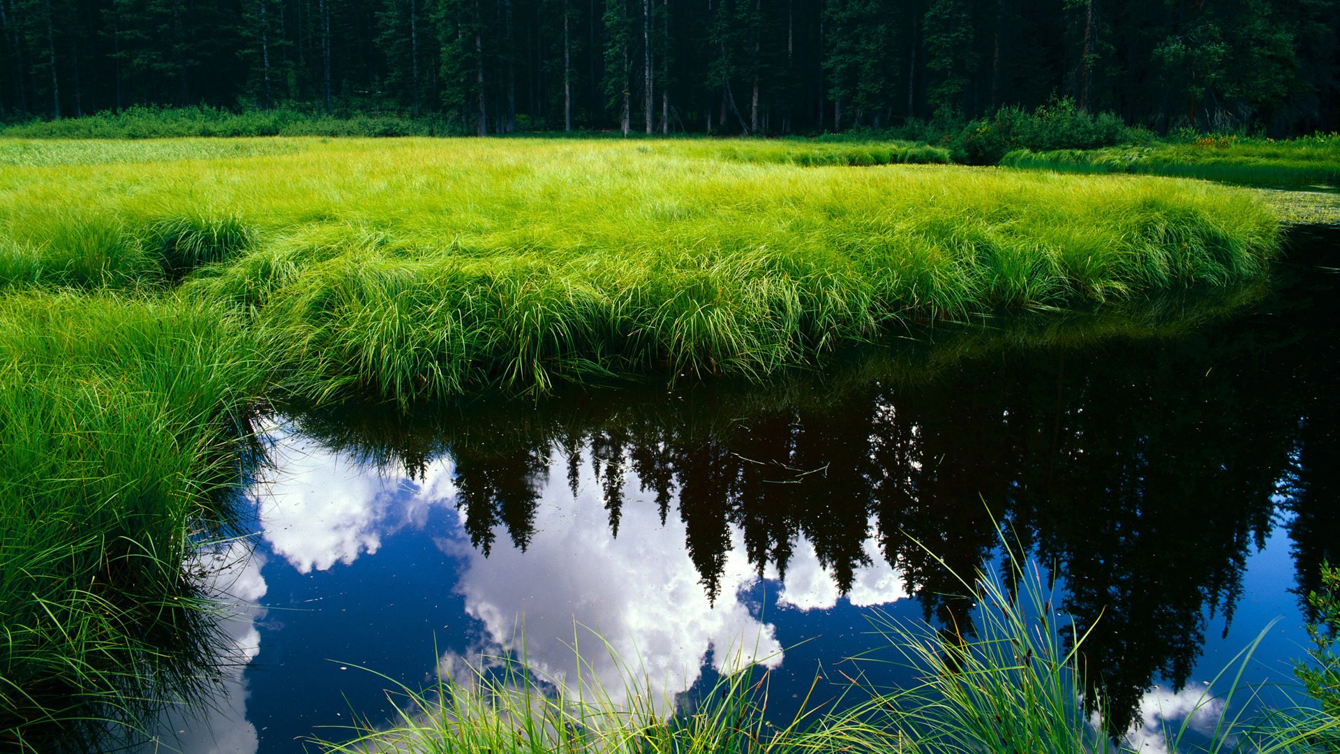 曼联调整阵容实现技战术灵活切换,曼联战术分析