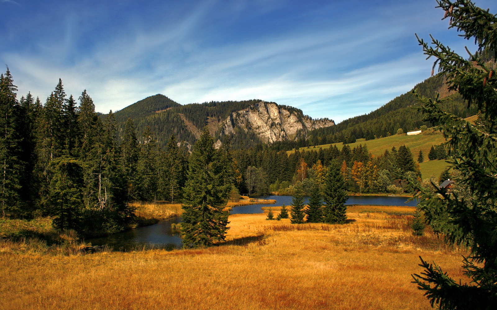 球员挑战高强度训练自我突破展现不服输的职业拼搏精神,职业球员训练强度多大