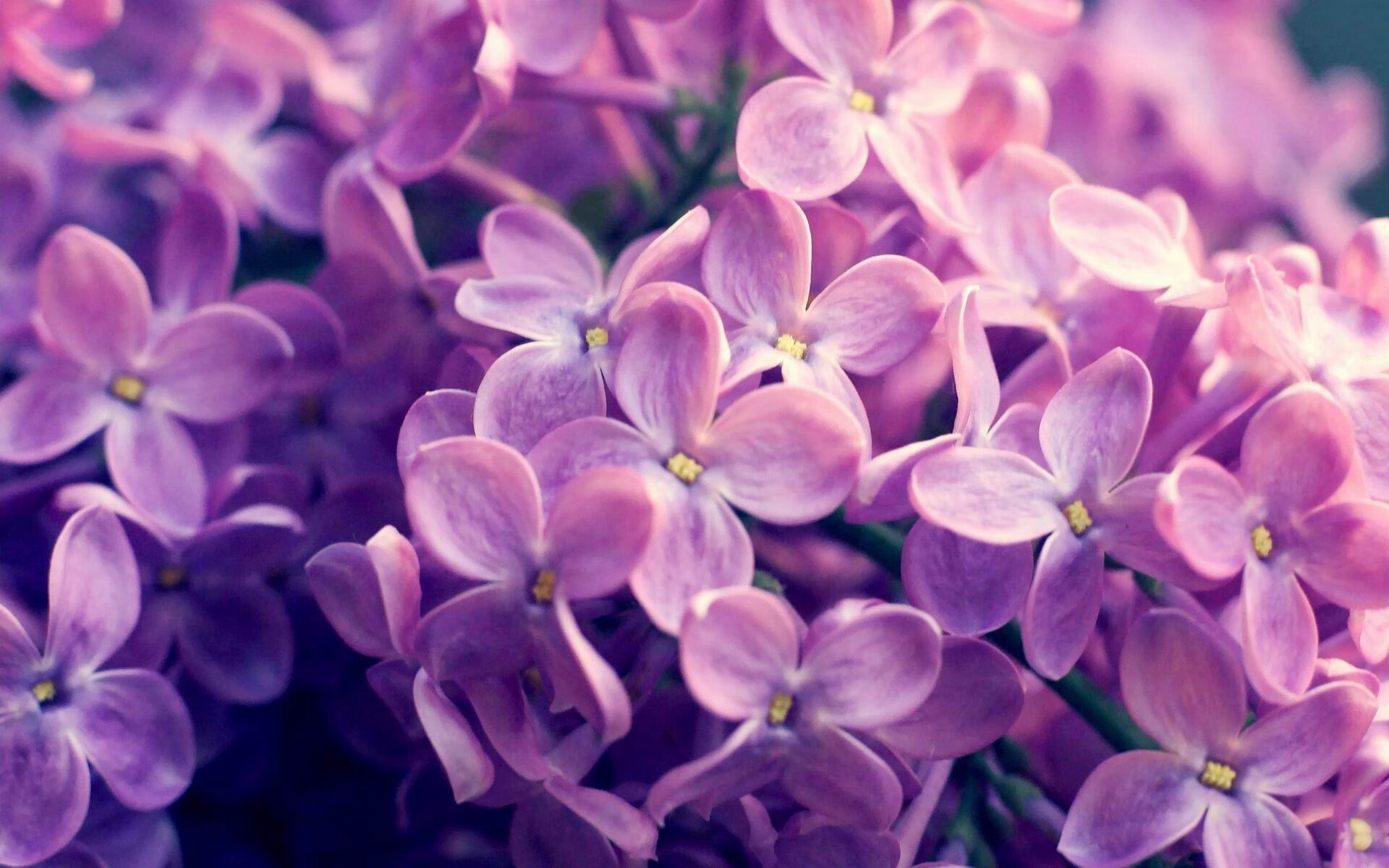 美国混合接力赛道上续写辉煌历史,美国田径混合接力