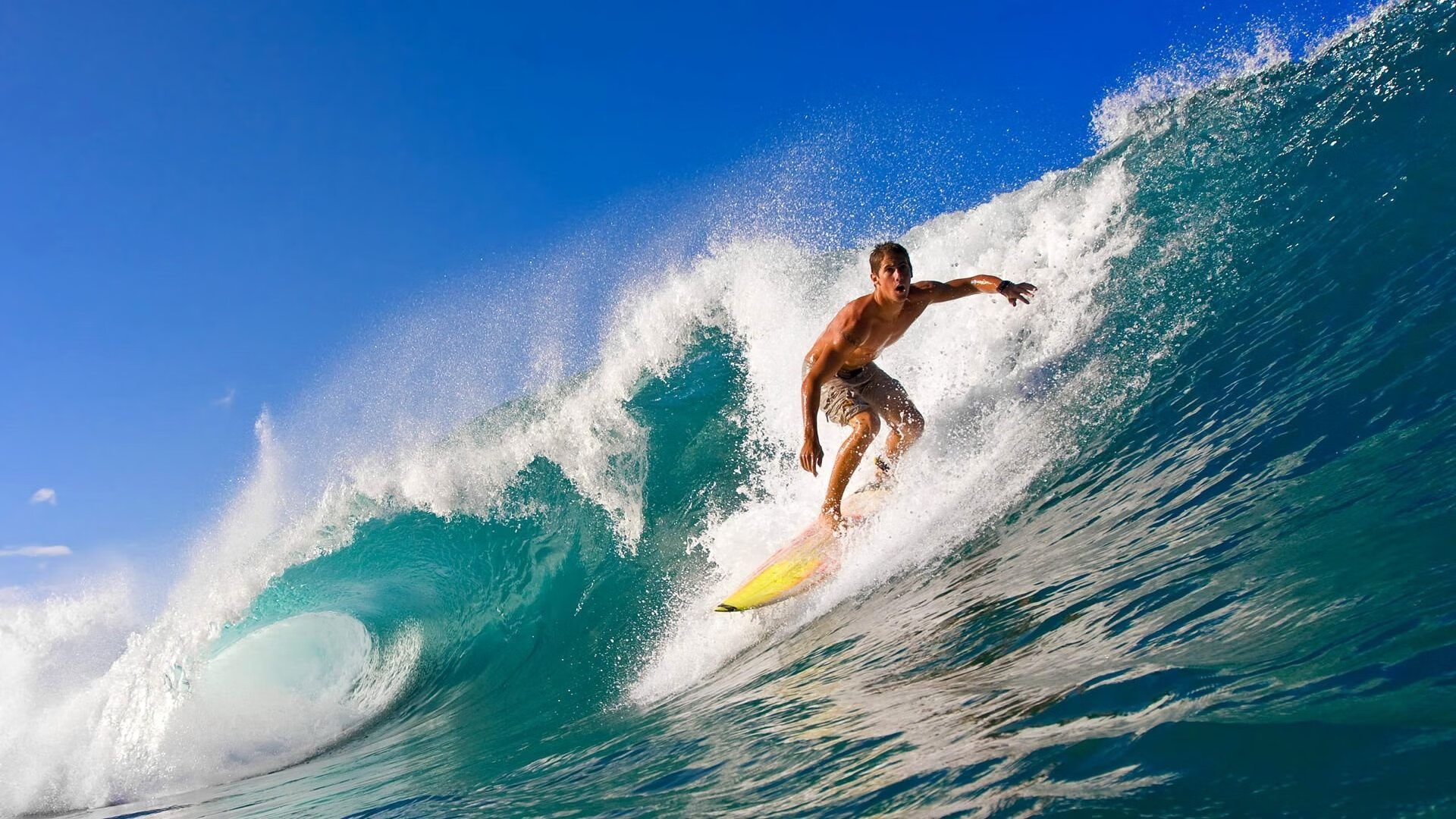 米兰体育在线登录-2024年中国残疾人广场龙舞推广活动在九江举行，中国残疾人舞蹈